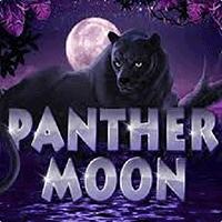 Panther Moon